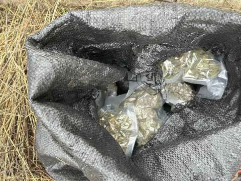 Полицейски служители разкриха домашна оранжерия за отглеждане на марихуана Спецоперацията