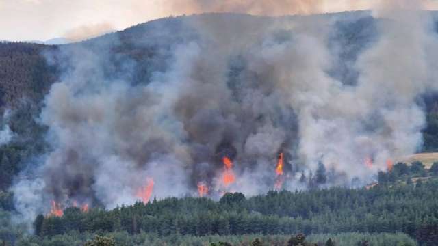 Голям пожар избухна в района на Сатовча в местността Вълнев