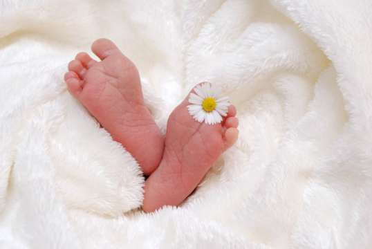 23 новородени за 24 часа само в едно родилно отделение