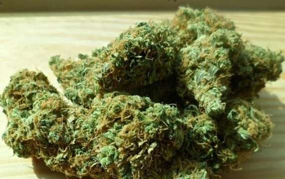 Над 46 кг марихуана бяха задържани в района на ГКПП