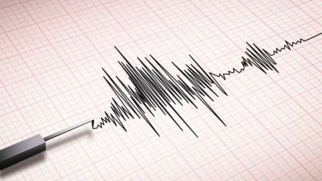 Земетресение с магнитуд 4 3 по Рихтер е регистрирано южно от