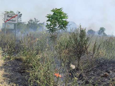 Пожар е пламнал в близост до гробищния парк в Ямбол