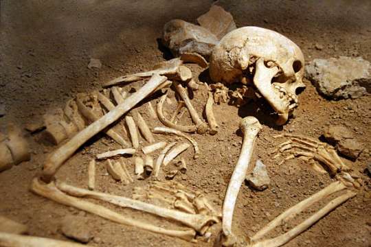 За намерени човешки кости и останки от ковчег при изкоп