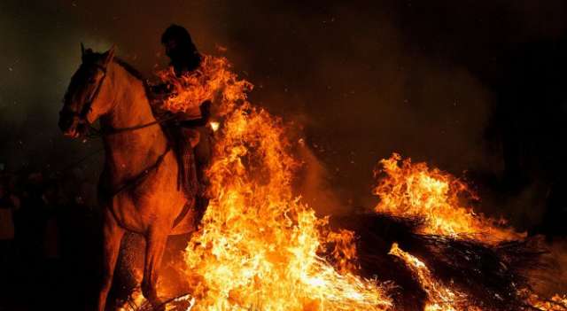 70 коня са загинали при пожар избухнал рано сутринта в