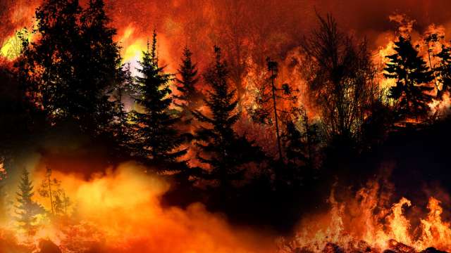Борбата на гръцките огнеборци с горските пожари на три острова