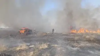 Пожар избухна в землището на селата Малко Тръново и Свобода