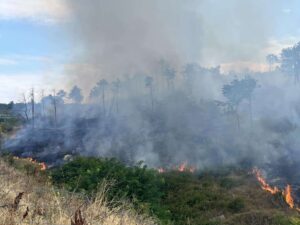Огнената стихия: Локализираха пожара в Рила