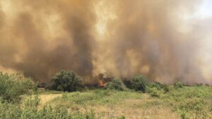 Пожар в природен парк „Рилски манастир”