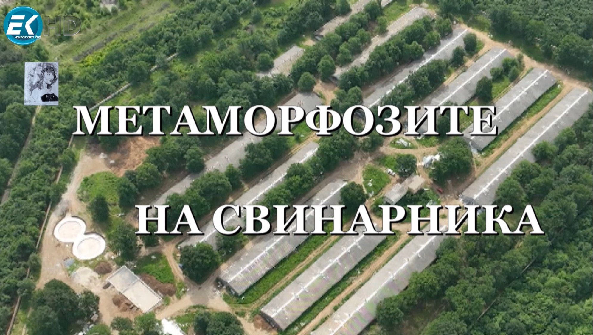 Метаморфозите на свинарника