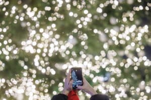 За първи път: Две коледни елхи ще грейнат в столицата