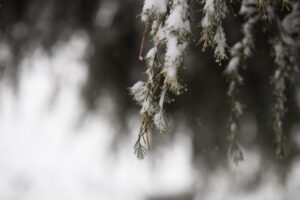 Предупреждение за туристите: дъжд, сняг и застудяване в планините