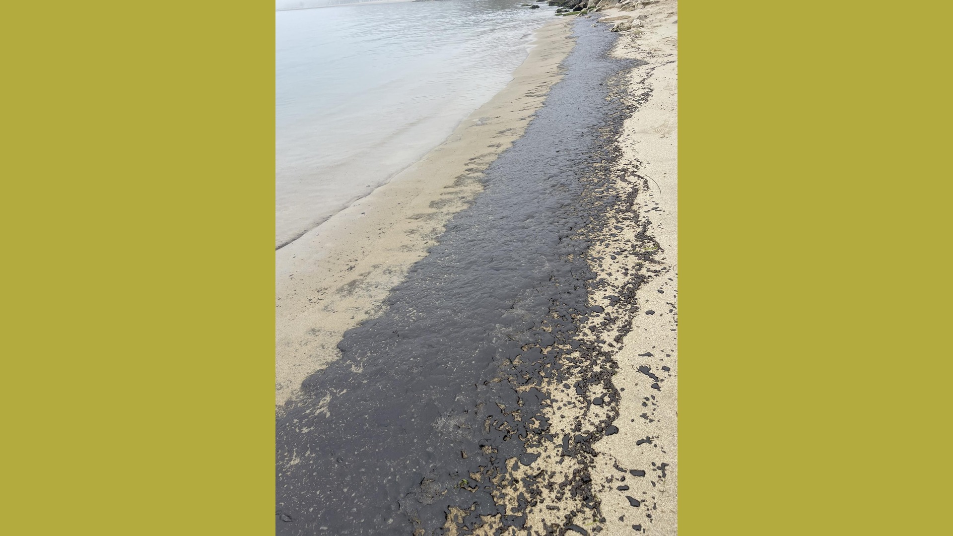 Тази сутрин плажната ивица край Трета буна във Варна беше