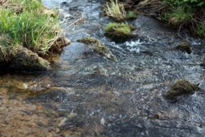 Кафява вода във Варненското езеро: Кметът Коцев обяснява причината