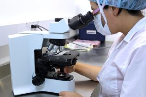 Български учени предложиха проекти, които да бъдат представени в сесията на ЮНЕСКО