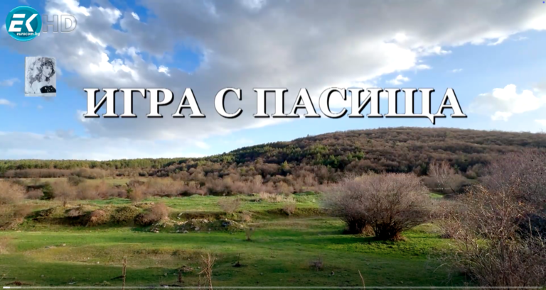 Игра с пасища