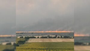 ВНИМАНИЕ! Пожарът в Костинбродско отново се разгоря (ВИДЕО)