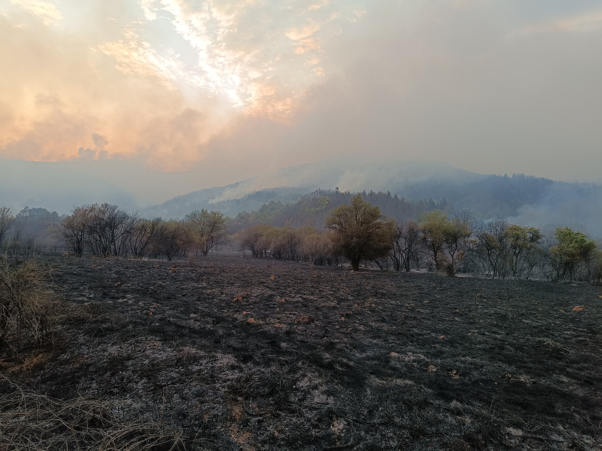 Пожарът в трънските села се е пренесъл изцяло в гората