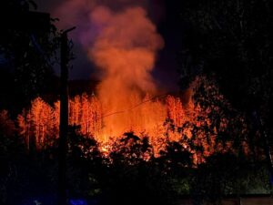 Пожар пламна и във Велико Търново