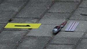 Майка на три деца жестоко убита край Дупница