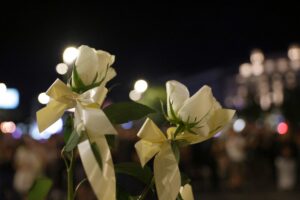 Протест в Нови Сад завърши с минута мълчание в памет на жертвите от срутената козирка на жп гарата