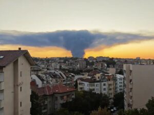 Пожар край бившата рафинерия до село Дисевица, няма опасност за хората