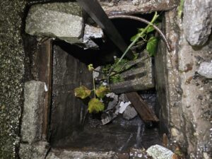 Сигнал от граждани: В центъра на Плевен зее огромна шахта