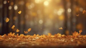 Топъл уикенд след облачната седмица