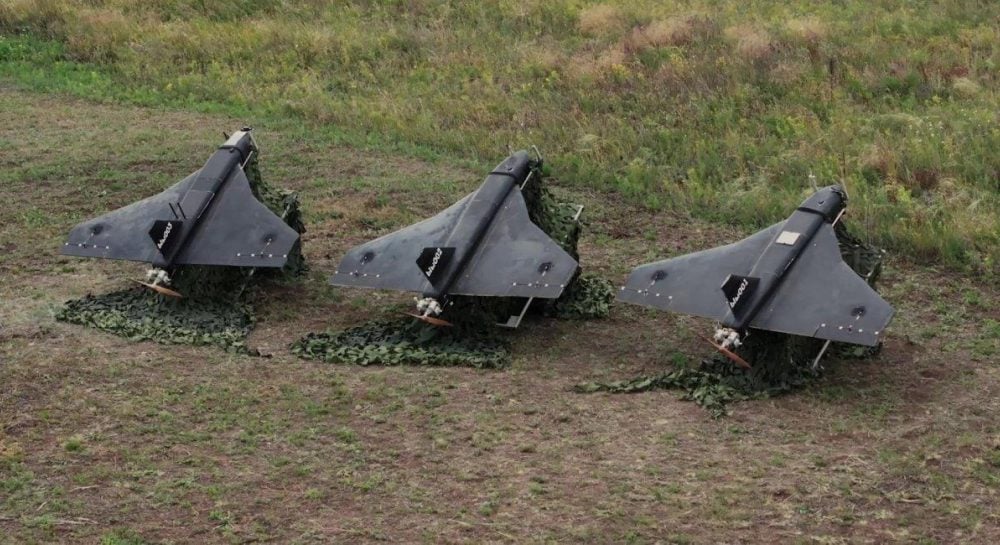 Дронове Гербер