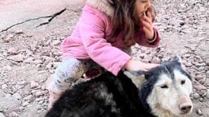 Брутално зверство: Лекар прегази куче в София (ВИДЕО 18+)