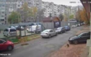 „Справедливост за Мая“: Хиляди поискаха по-строги наказания за насилието над животни