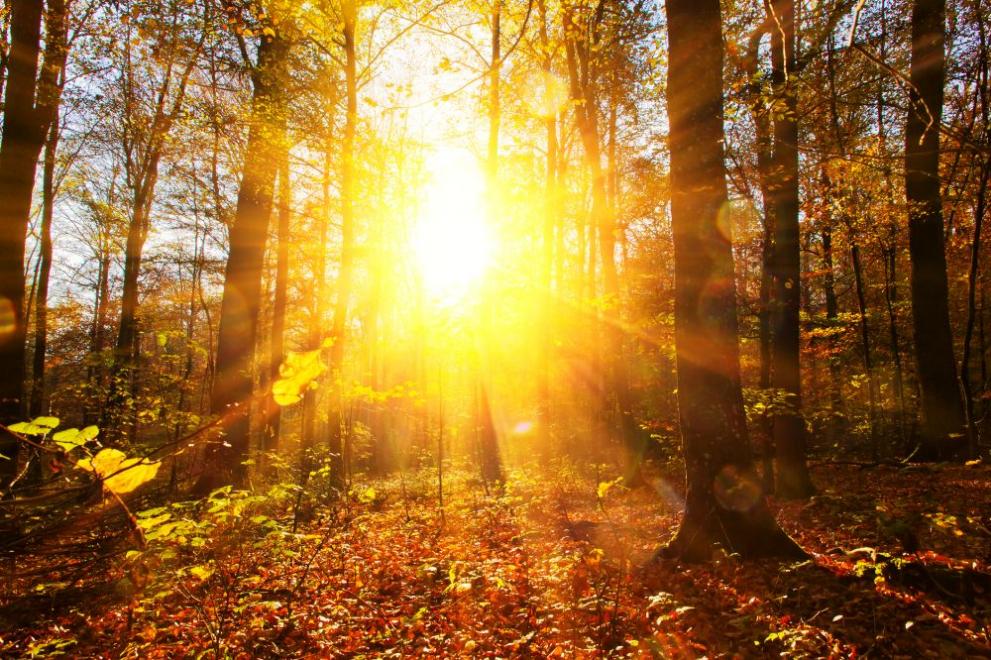 В петък ще бъде предимно слънчево но до обяд по