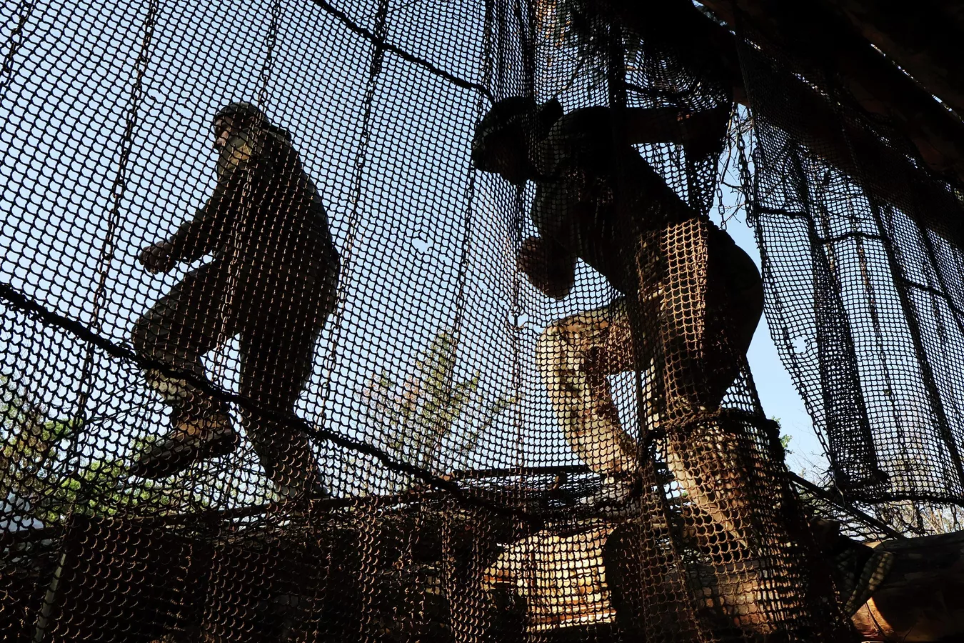 Украински военни