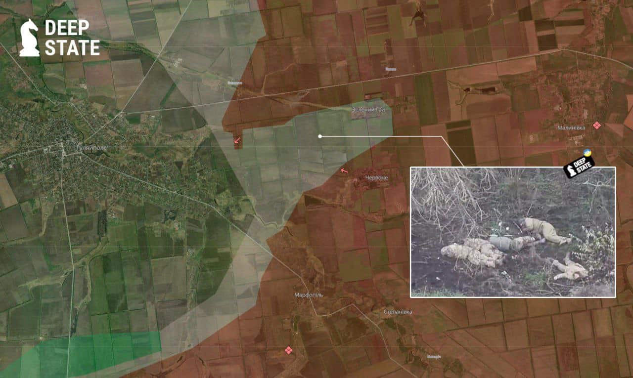 Зелений Гай