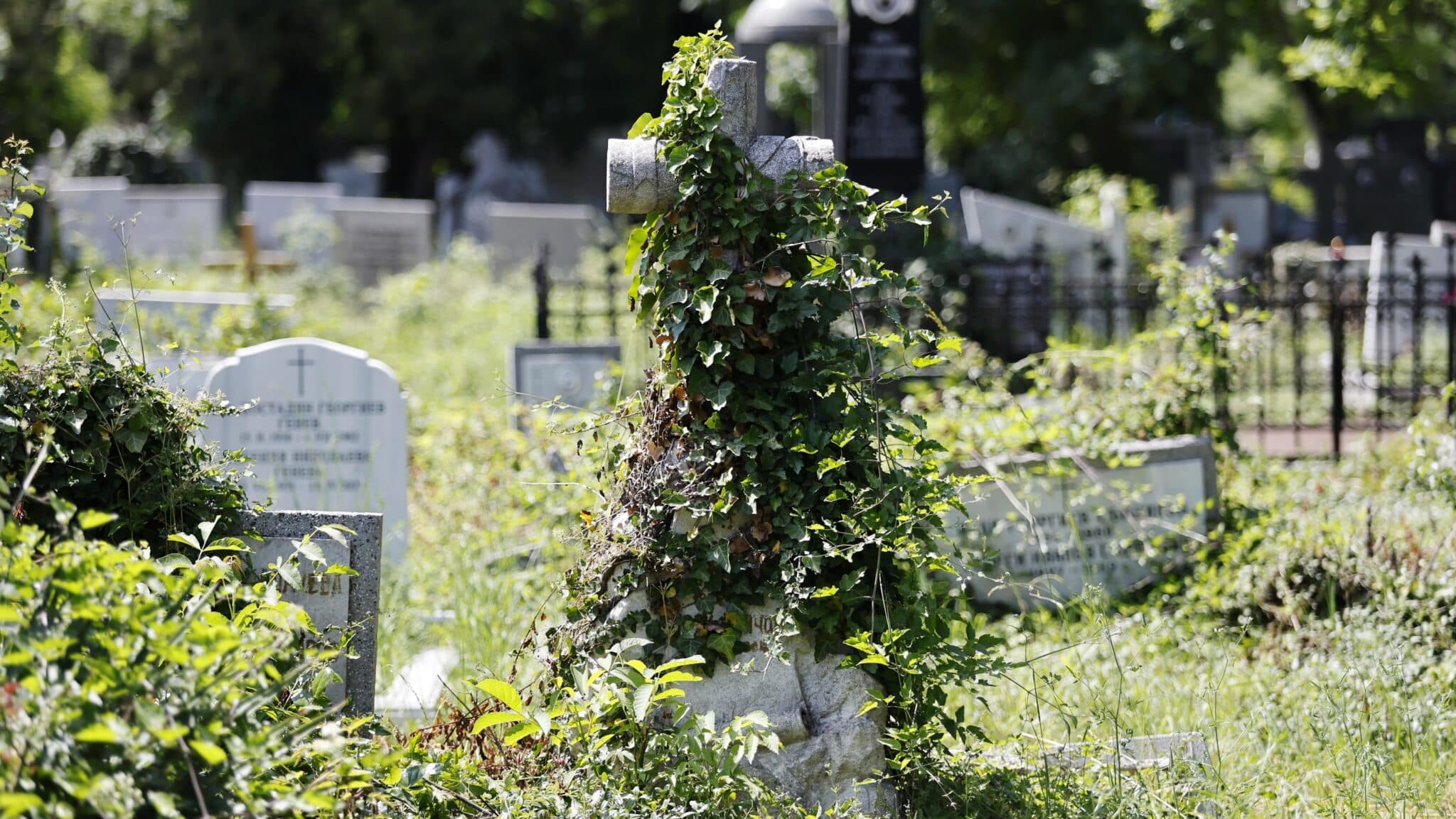 Софийската районна прокуратура повдигна обвинение срещу 29 годишния мъж който