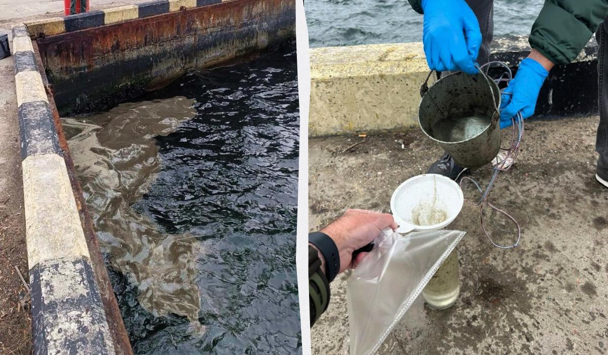 Екологична катастрофа в Одеса