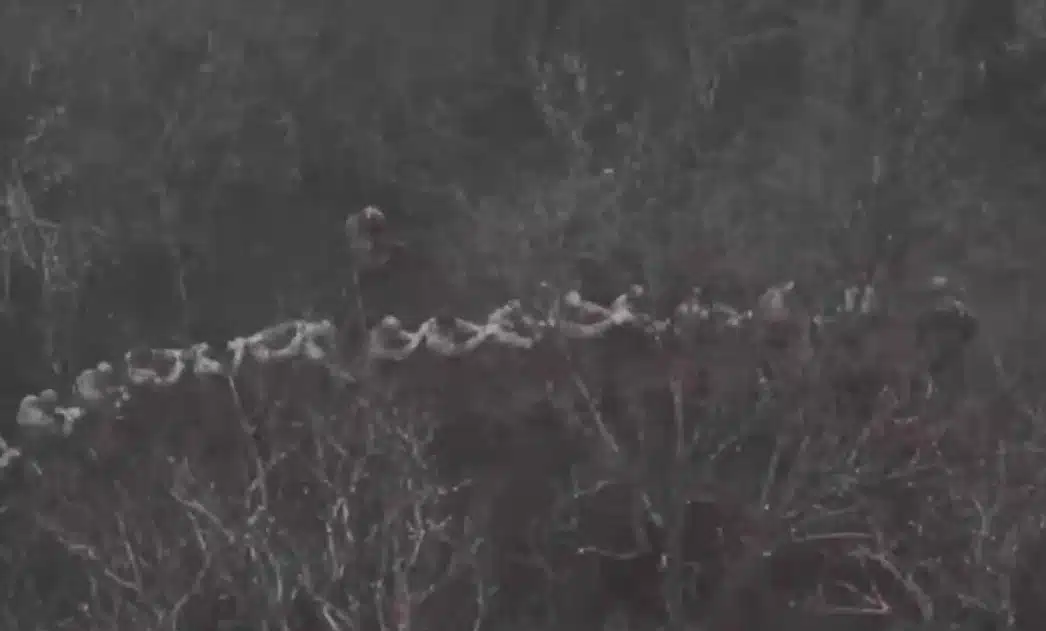 Масово предаване в плен на украински войници