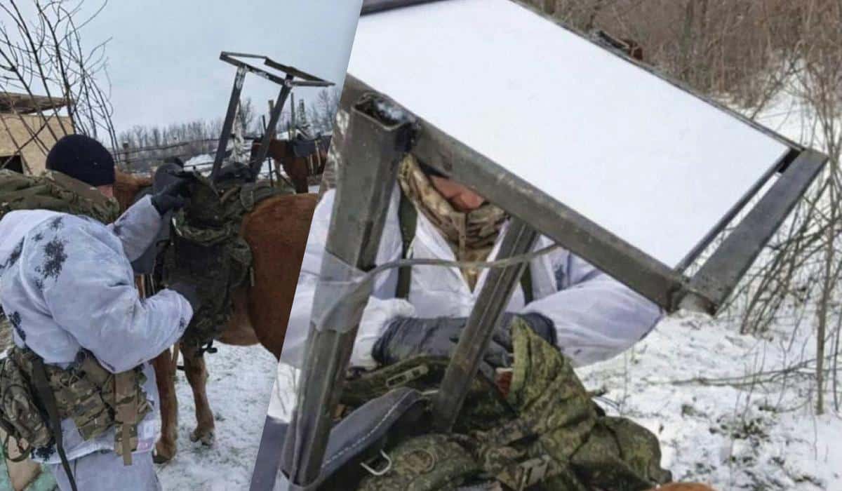 Starlink на кон