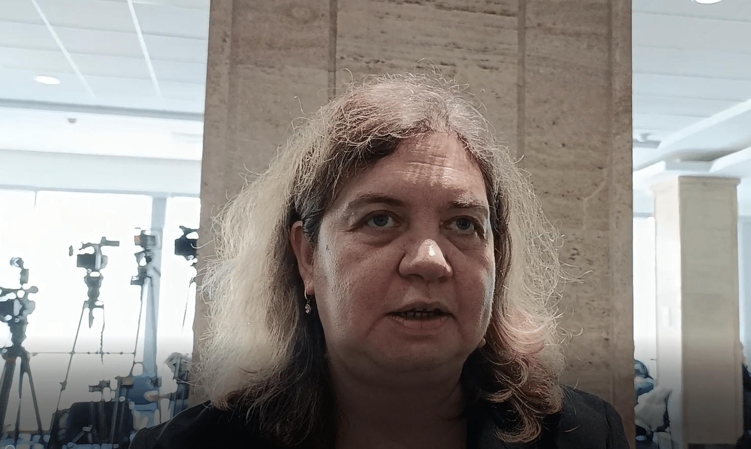 Наталия Киселова пред Евроком: БСП решава във вторник как да гласува по ветото на президента