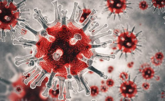 При направени 3155 PCR теста: 161 нови случая на коронавирус у нас