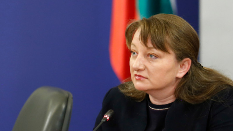 Деница Сачева: Това не е протест на майки на деца с увреждания – това е провокация