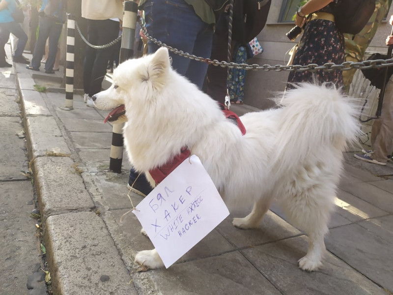 Десетки съдии на протест