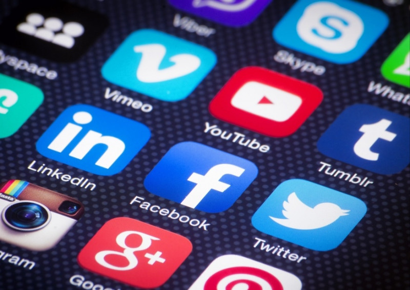 Тролът избирател: Политическата агитация в социалните мрежи