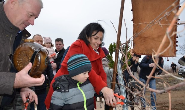 Десислава Танева ще зарязва лози в Пазарджишко