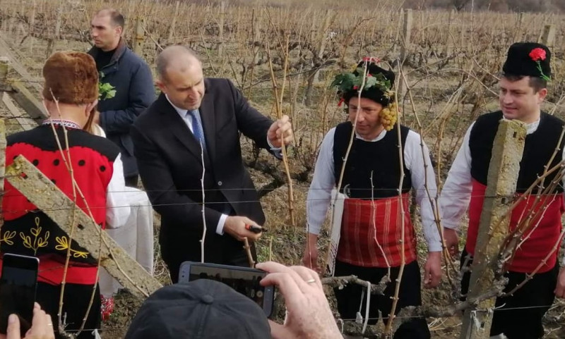 Румен Радев: В политиката трябва да изрежем излишните филизи и да дадем шанс на добрите