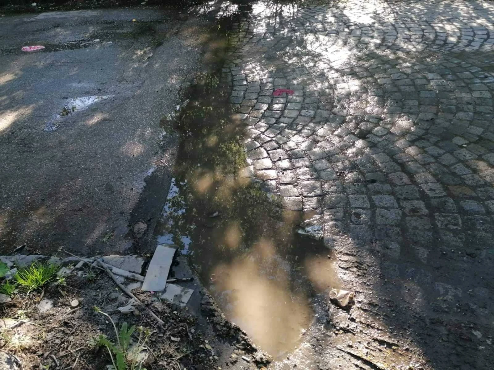 Фекалии заливат над 20 години столична улица