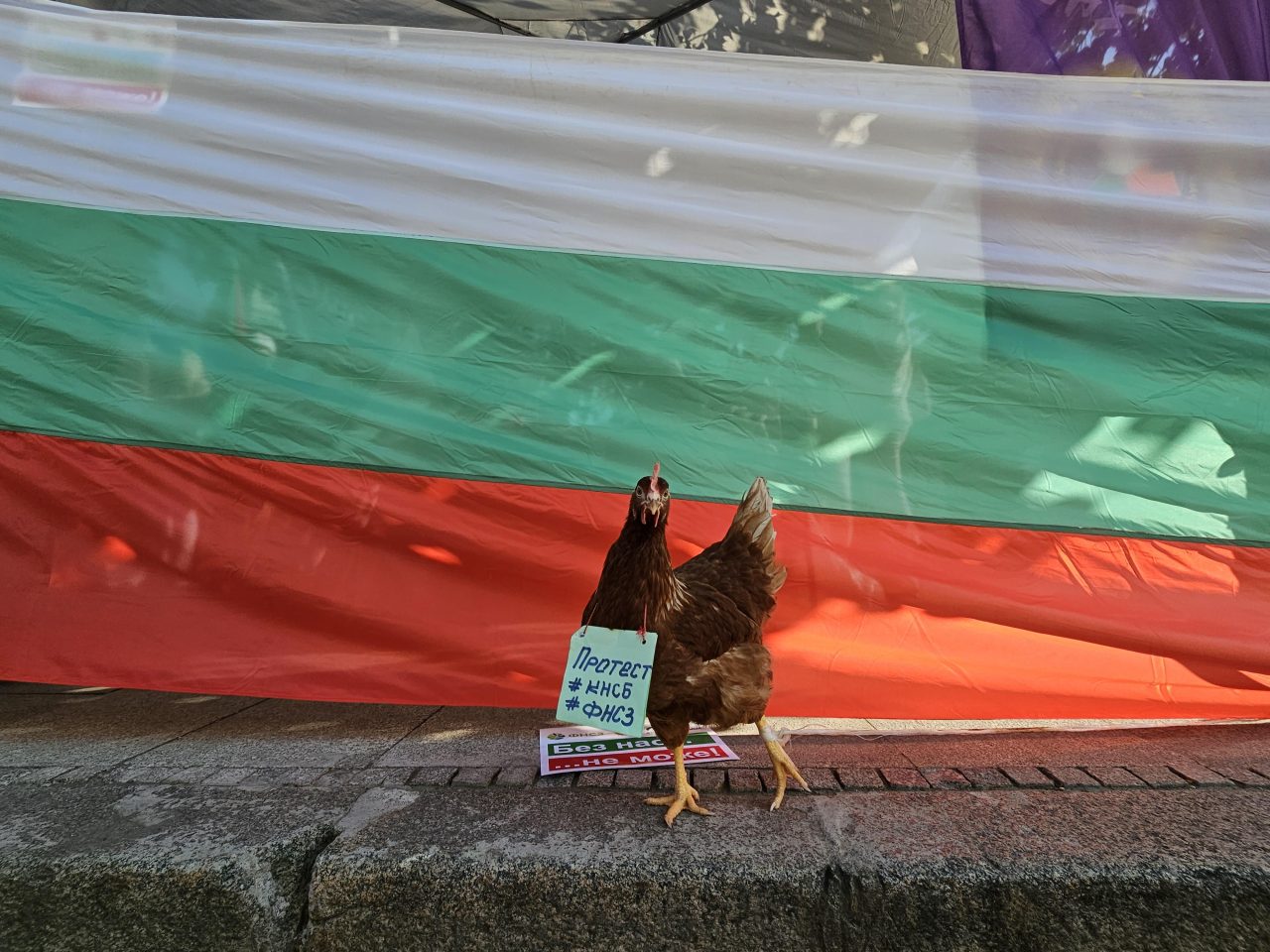 ВТОРИ ДЕН: КНСБ отново на протест пред Народното събрание