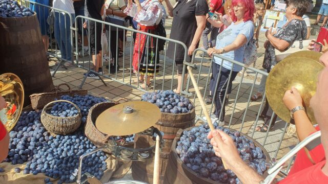 ЮБИЛЕЙНО ИЗДАНИЕ: Започна Българският фестивал на сливата в град Троян (ВИДЕО)