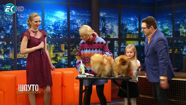 Светла и Миа Колеви –  Българска Груминг Асоциация