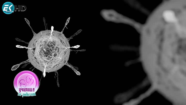 Дезинфекция на дрехи с озон