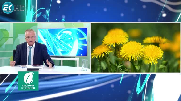 10.10.2023 РУБРИКА: „ЗДРАВЕ И БИЛКИ“- ГЛУХАРЧЕТО- КАМЪНИ В ЖЛЪЧКАТА/  д-р Драгомир Дарданов – коремен хирург.